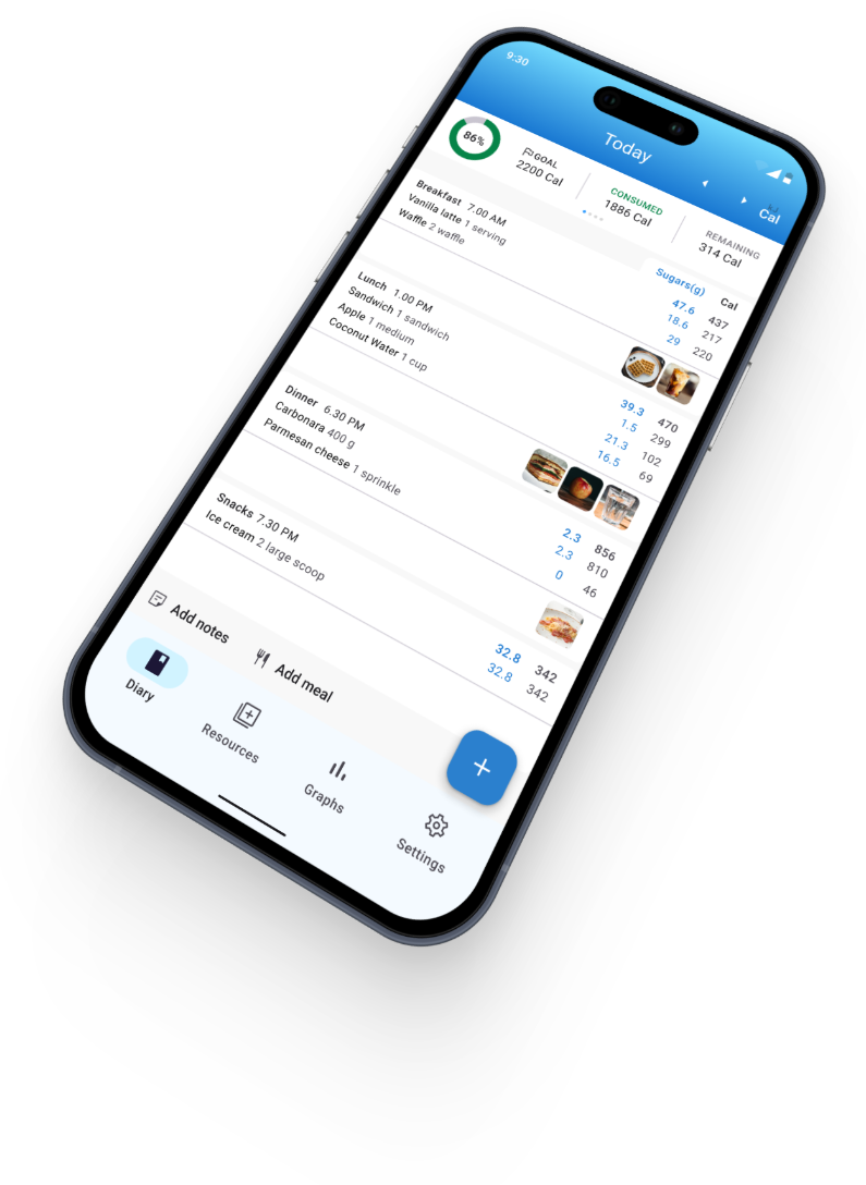 Easy diet diary home screen